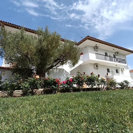 Marios Garden House Διαμέρισμα Άφυτος Εξωτερικό φωτογραφία