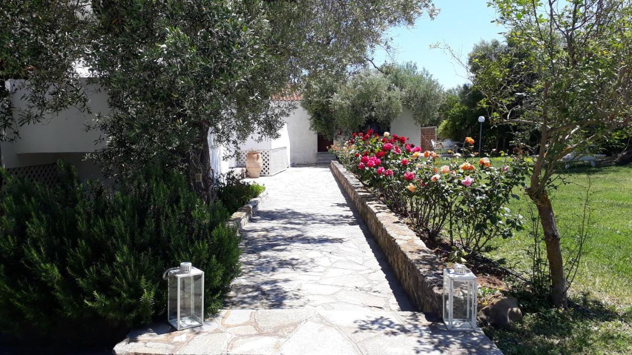 Marios Garden House Διαμέρισμα Άφυτος Εξωτερικό φωτογραφία
