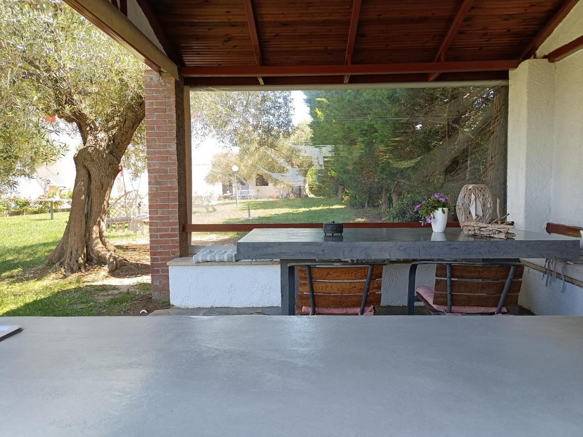 Marios Garden House Διαμέρισμα Άφυτος Εξωτερικό φωτογραφία
