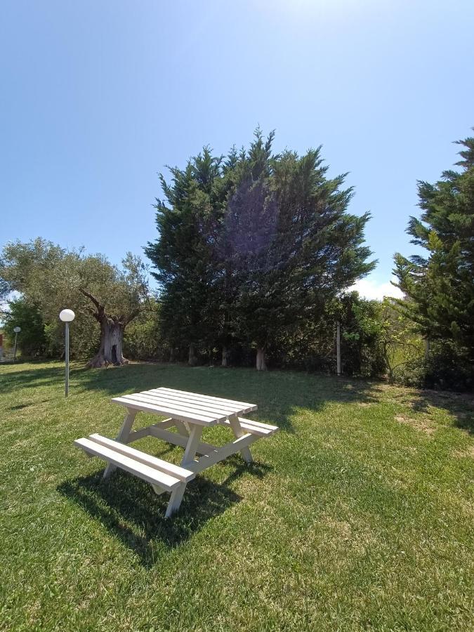 Marios Garden House Διαμέρισμα Άφυτος Εξωτερικό φωτογραφία