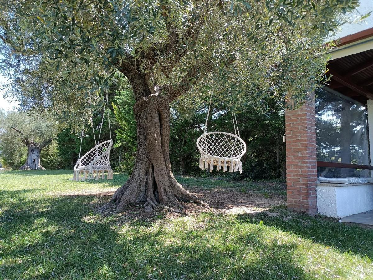 Marios Garden House Διαμέρισμα Άφυτος Εξωτερικό φωτογραφία