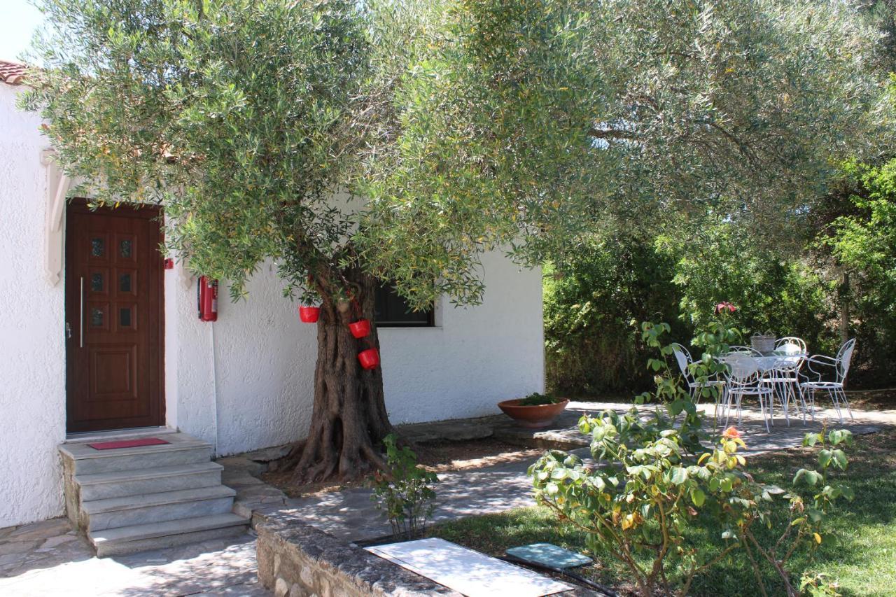 Marios Garden House Διαμέρισμα Άφυτος Εξωτερικό φωτογραφία