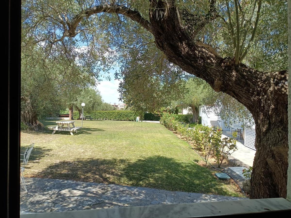 Marios Garden House Διαμέρισμα Άφυτος Εξωτερικό φωτογραφία